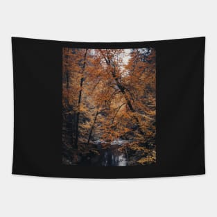 Bohemian Switzerland: Scenic Landscape Photography #1 Tapestry