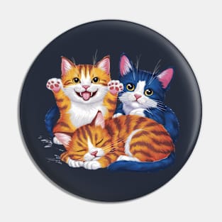 Three Cats Three Moods Pin