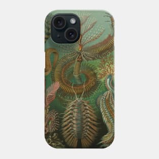 Annelids Chaetopoda by Ernst Haeckel Phone Case