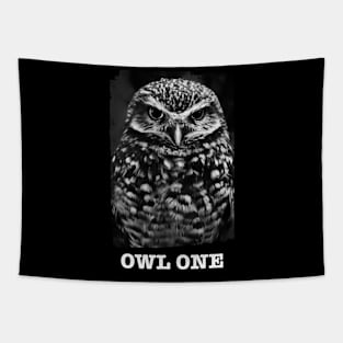 Owl one Tapestry