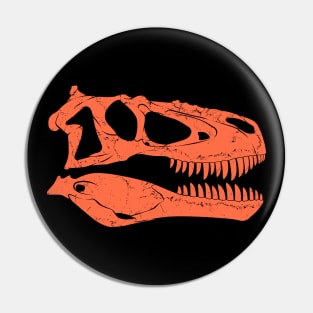 Daspletosaurus fossil skull Pin
