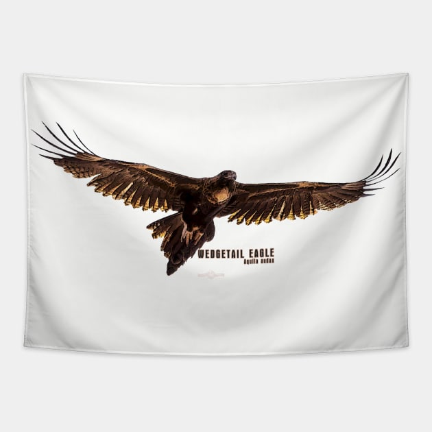 Wedgetail Eagle_01C Tapestry by seadogprints
