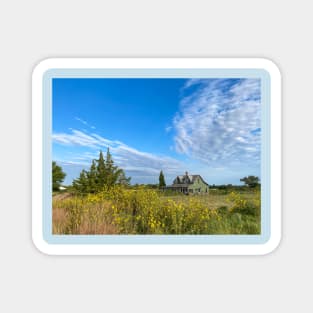 This Old Green House by Debra Martz Magnet