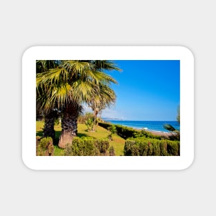 Palm trees Torrox Costa Del Sol Andalusia Costa Spain Magnet