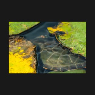 Turtle Shells and Lily Pads Photograph T-Shirt