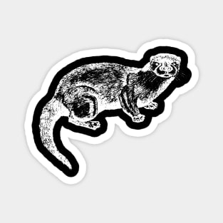 Otter - Otters Magnet