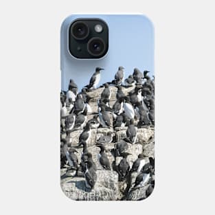 Guillemots on the Farne Islands - Northumberland, UK Phone Case