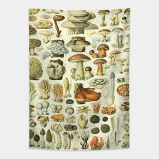 Mushroom Chart Tapestry