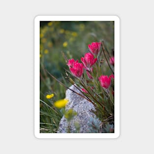 Mountain Wildflower 2 Magnet