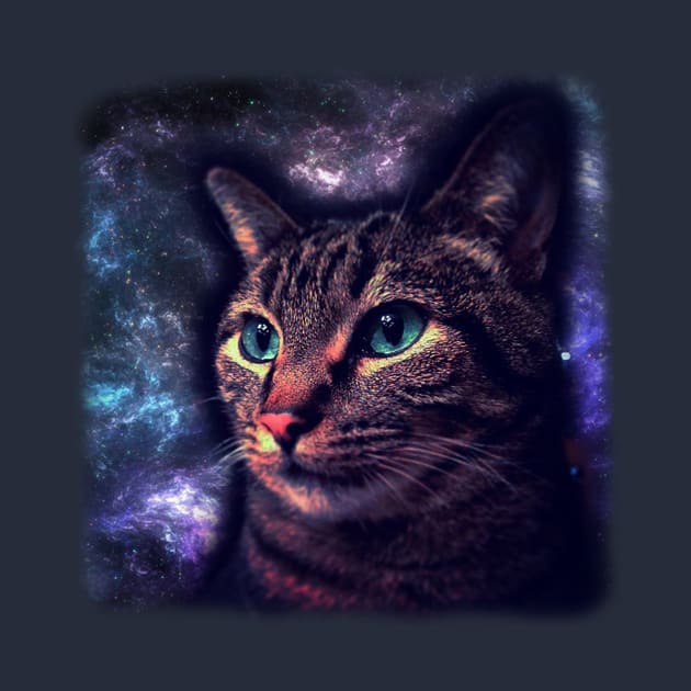 Galaxy Cat in Space by TheMojoPyro