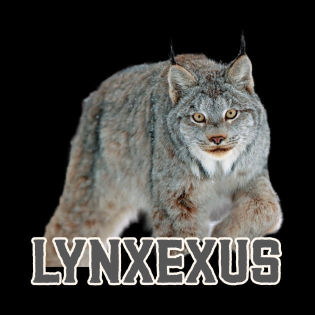 LYNXEXUS by Cult Classics