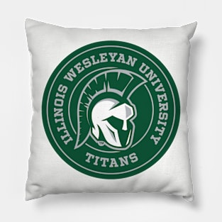 Titans Circle Pillow