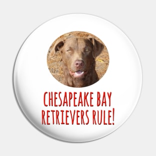 Chesapeake Bay Retrievers Rule! Pin