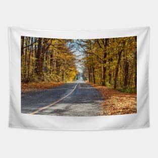 Fall Road 5 Tapestry