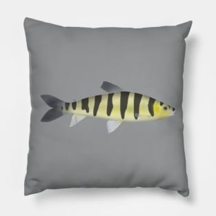 Banded Leporinus Pillow