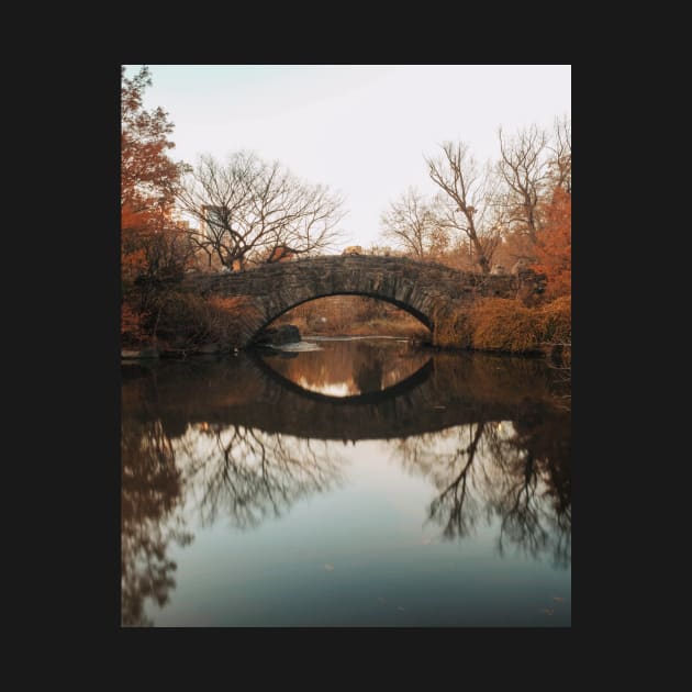 Central Park Bridge Fall by igjustin