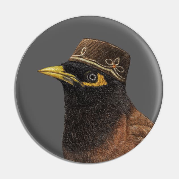 Common myna Pin by Mikhail Vedernikov