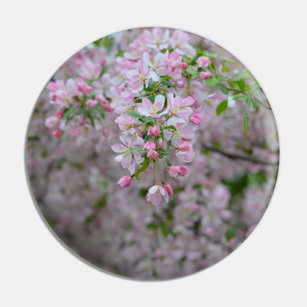 Pink Crab Apple Pin by Drgnfly4free