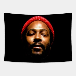Marvin Gaye - Cool Soul Tapestry