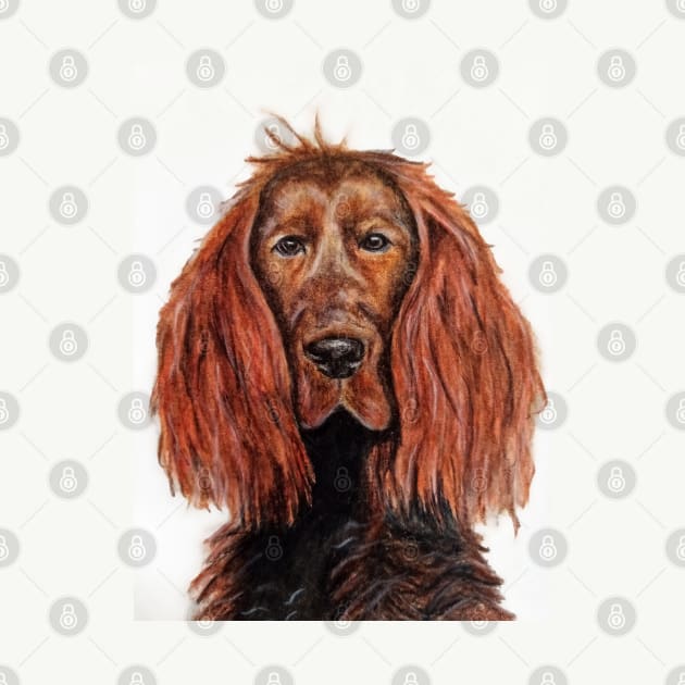 Red Setter by Indicative of Hannah