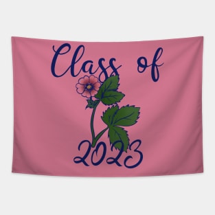 Class of 2023 Tapestry