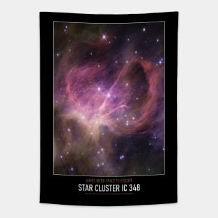 High Resolution Astronomy Star Cluster IC 348 Tapestry