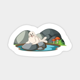 Cute Seal In Nature Magnet