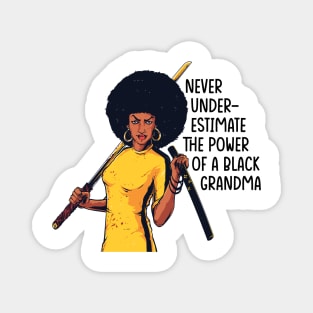 Never Underestimate the Power of a Grandma Magnet