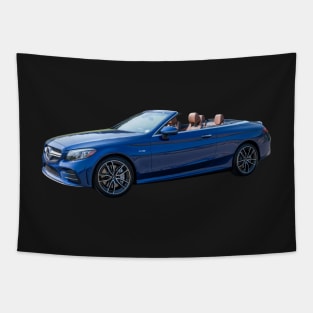 C-43 AMG Tapestry