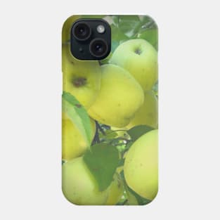 Golden Delicious Apple Harvest Phone Case