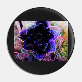 Black Anemone Pin