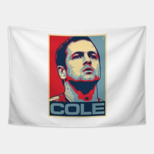 Cole Tapestry