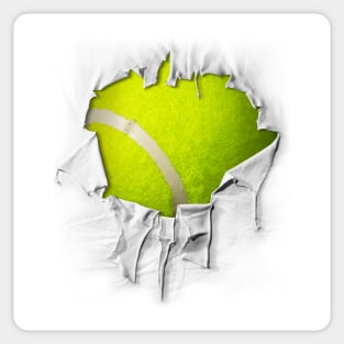 STA 3D Car Sticker Funny Tennis Ball – Supreme Tennis Athletes