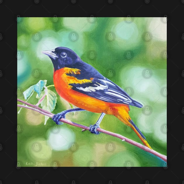 Baltimore Oriole - bird painting by EmilyBickell