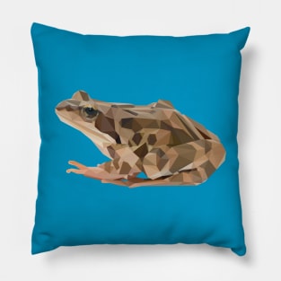 Frog Pillow