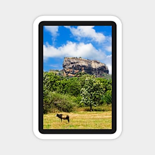 Sigiriya Rock & Cow Magnet