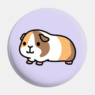 Guinea Pig Pin