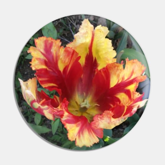 Flamboyant Parrot Tulip Pin by Amanda1775