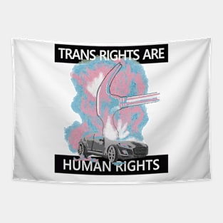 Trans Rights are Human Rights Tapestry