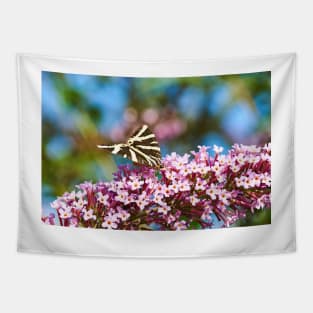 Jersey Tiger Moth feeding Tapestry