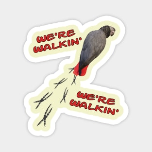 African Grey Parrot Walking Magnet