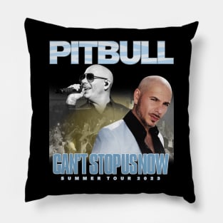 Cant Stop Us Now Summer Tour Dates 2024 Pillow