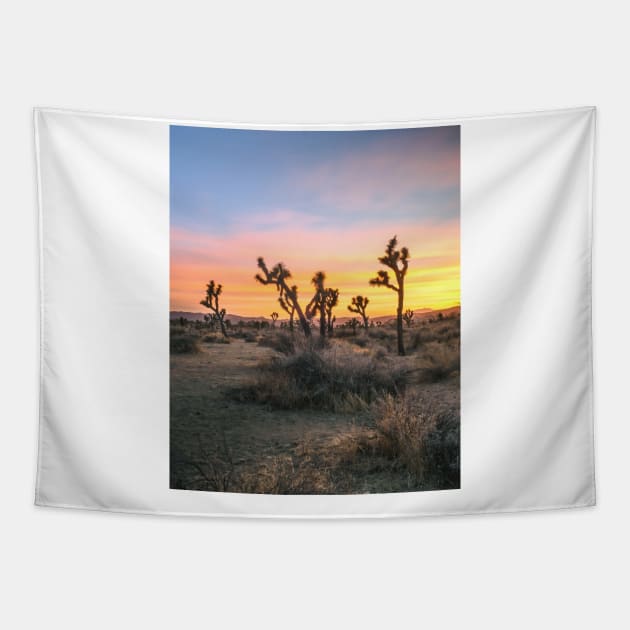 Joshua Tree National Park Tapestry by igjustin