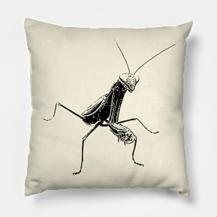 Praying Mantis Pillow