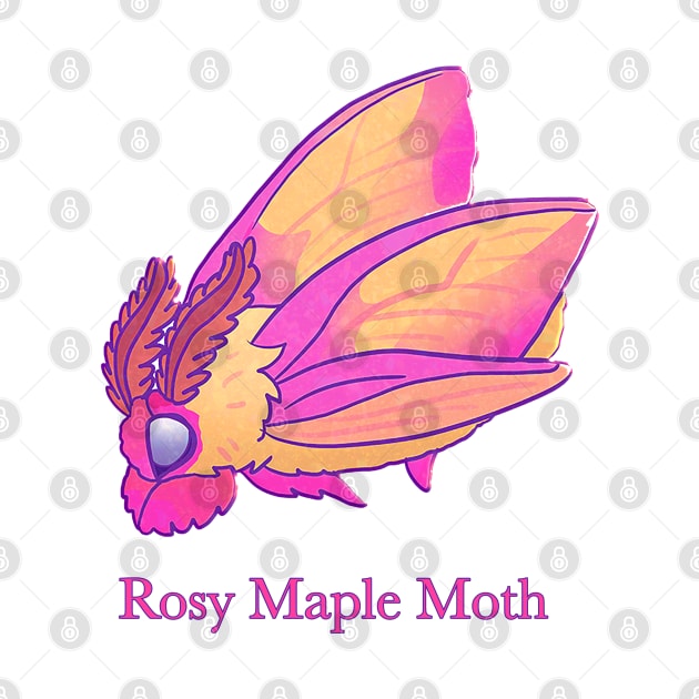 Rosy Maple Moth by Angsty-angst