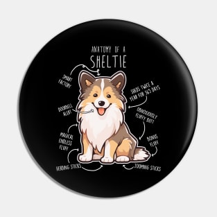 Sheltie Shetland Sheepdog Anatomy Pin