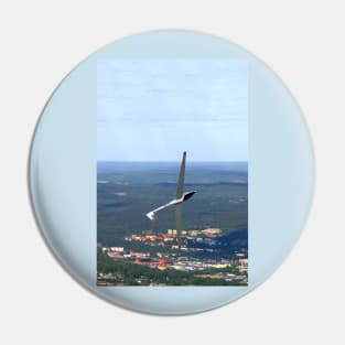 Glider Pin