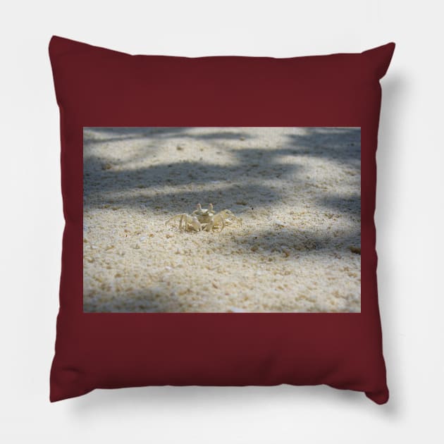 Cute Sand Crab Pillow by KaSaPo