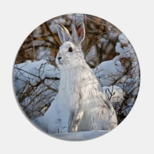 Snow Shoe Hare Pin