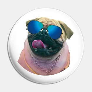 dog wearing sunglasses Pin